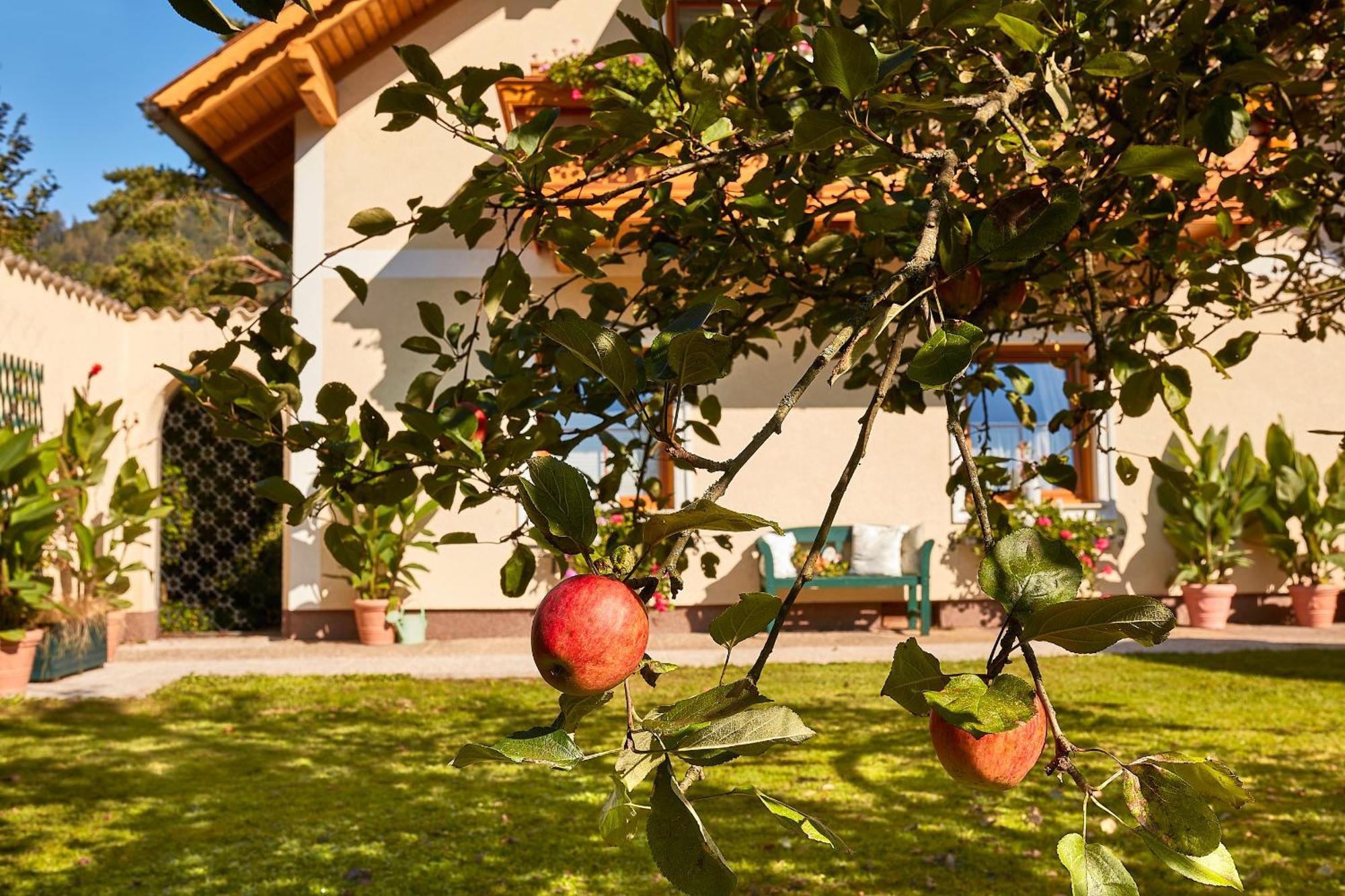 Zur Maultrommel Apartment Molln